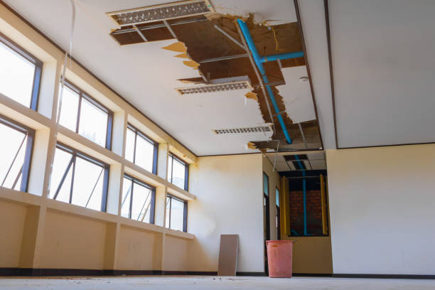 Best Water damage restoration specialists  in Walterboro, SC