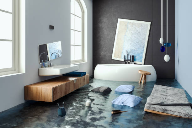 Best Local water damage restoration  in Walterboro, SC