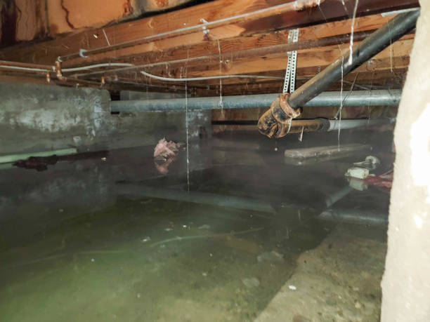 Best 24/7 water damage repair  in Walterboro, SC