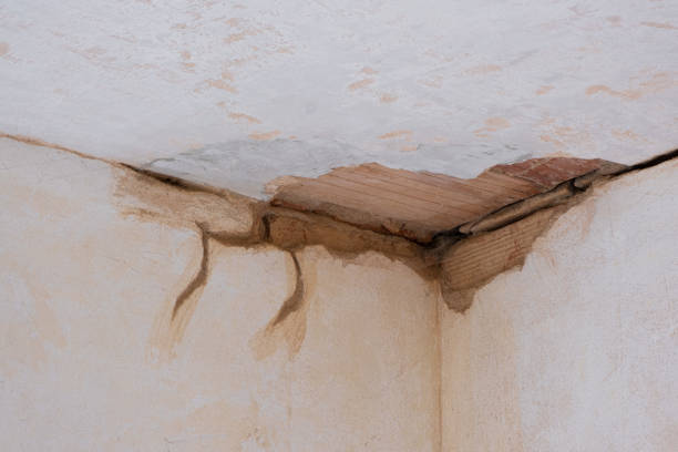 Best 24-hour water damage restoration  in Walterboro, SC