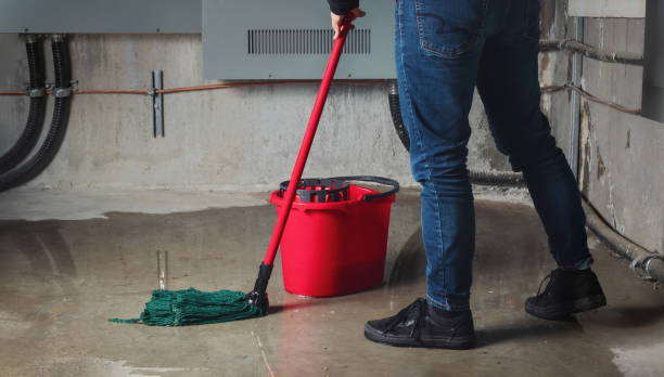 Best Mold removal after water damage  in Walterboro, SC