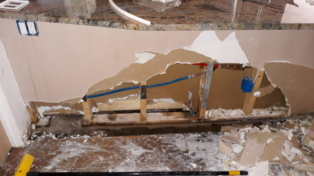 Best Flooded house restoration  in Walterboro, SC