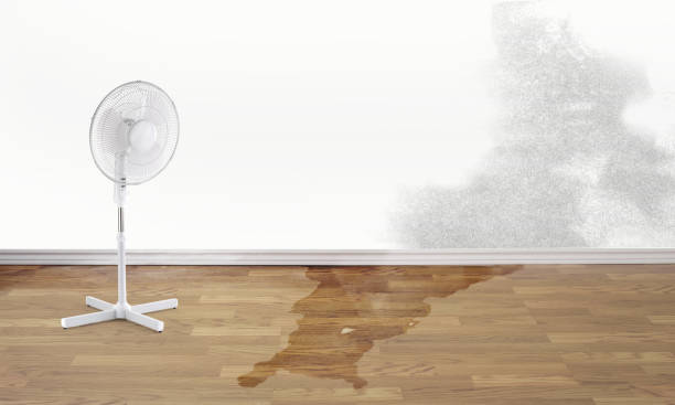 Best Residential water damage restoration  in Walterboro, SC