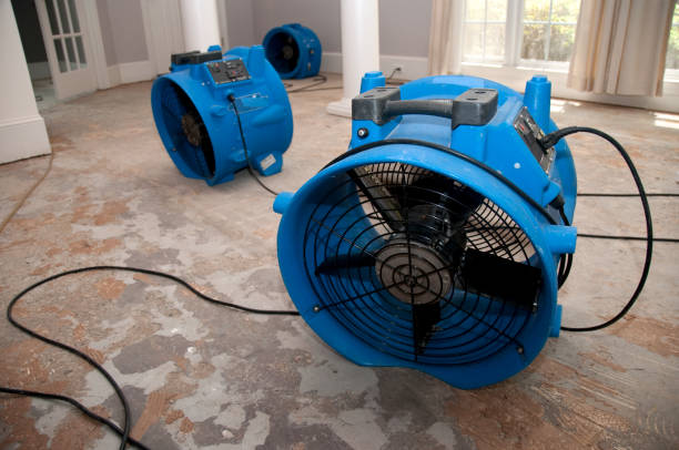 Best Emergency water damage restoration  in Walterboro, SC