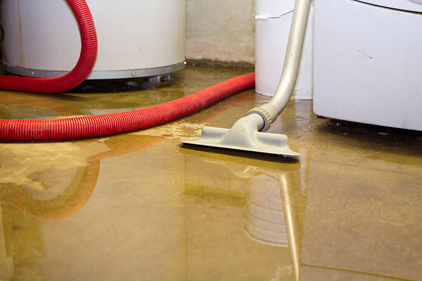 Best Fire Damage Restoration  in Walterboro, SC
