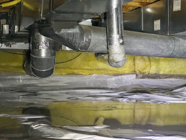 Best Flood restoration services  in Walterboro, SC