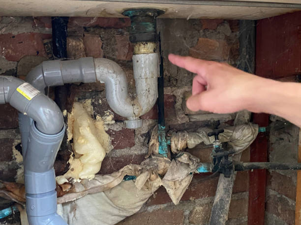 Best Water damage cleanup near me  in Walterboro, SC